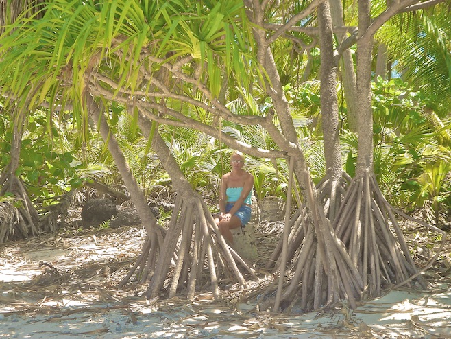 Pal trees ali